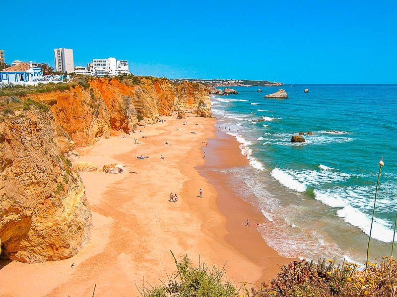 descubra a beleza da praia do amado